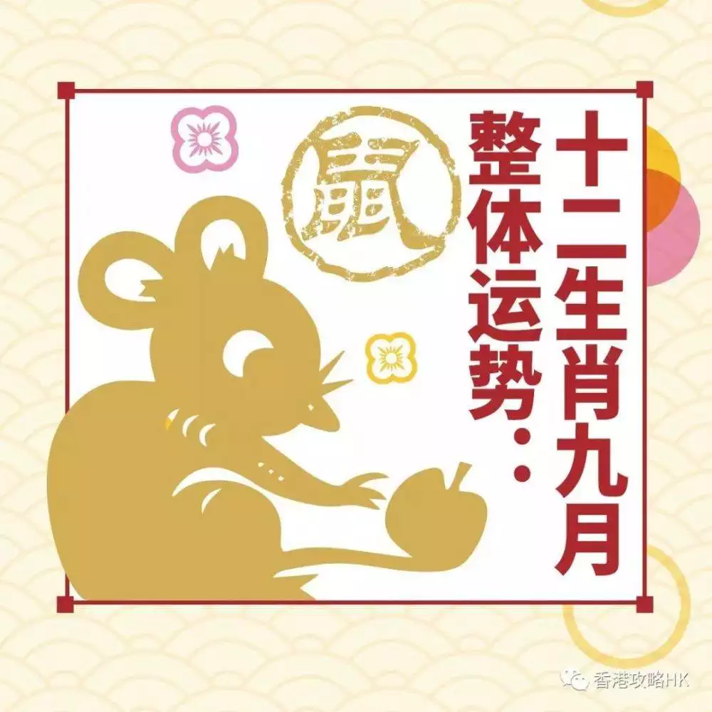 3、男34歲屬虎女24歲屬鼠好婚配:女屬鼠男屬虎在一起會幸福嗎