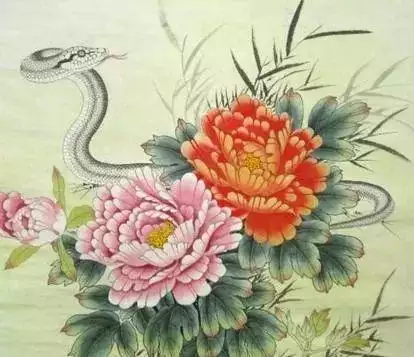 屬蛇女配什麼屬相最好：女屬蛇的屬相婚配表