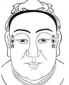 3、最准測一生有幾個孩子看:算命一生有幾個孩子