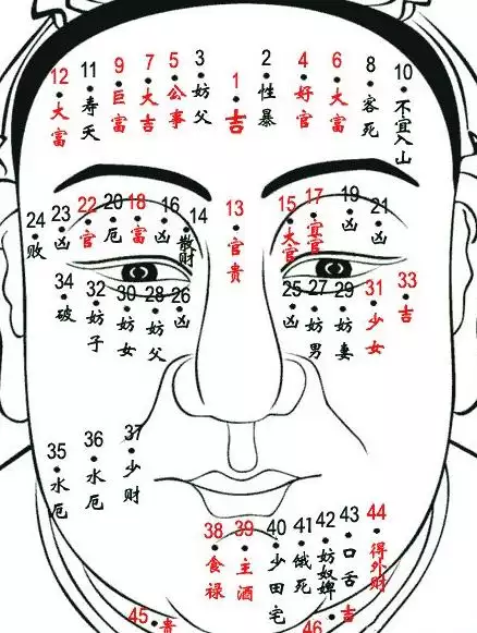 5、八字中的婚姻宮:八字怎麼看婚姻宮