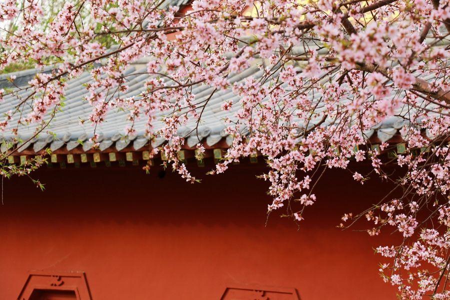 3、免費八字測桃花:生辰八字算財運和桃花~
