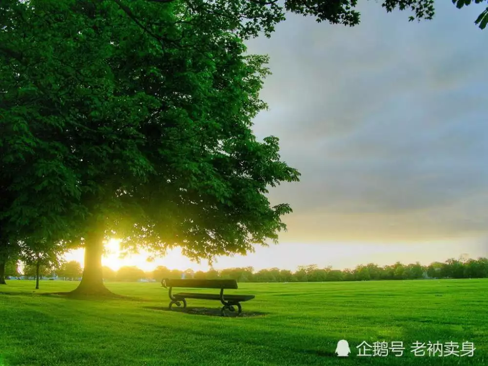 黃道吉日選娶親日子，我發的圖上面沖虎，沖鼠是什麼意思啊？家裡人有人是這兩個屬相！請專業人士解答！！