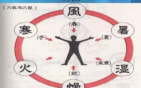 2、女五行屬木和男五行屬木婚配:五行屬木的女孩和什麼五行配