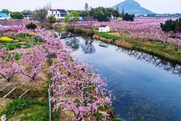 2、桃花劫年齡表圖片:桃花劫年齡是周歲還是虛歲？