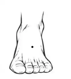 腳踏七星管天下兵的屬相：按屬相分什麼管屬馬的什麼和試管屬兔人