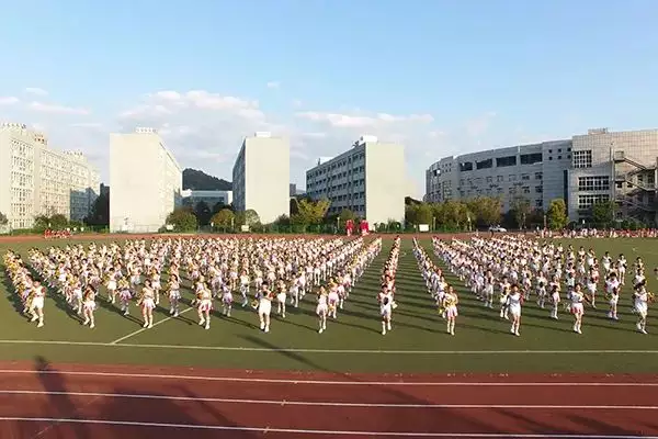 2、想生年的兔寶寶:想生個兔寶寶。可以在幾月份懷孕呢。