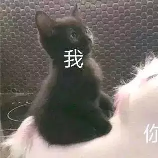 8、與青檸相配的情侶網名:青檸微涼對應的情侶網名是什麼