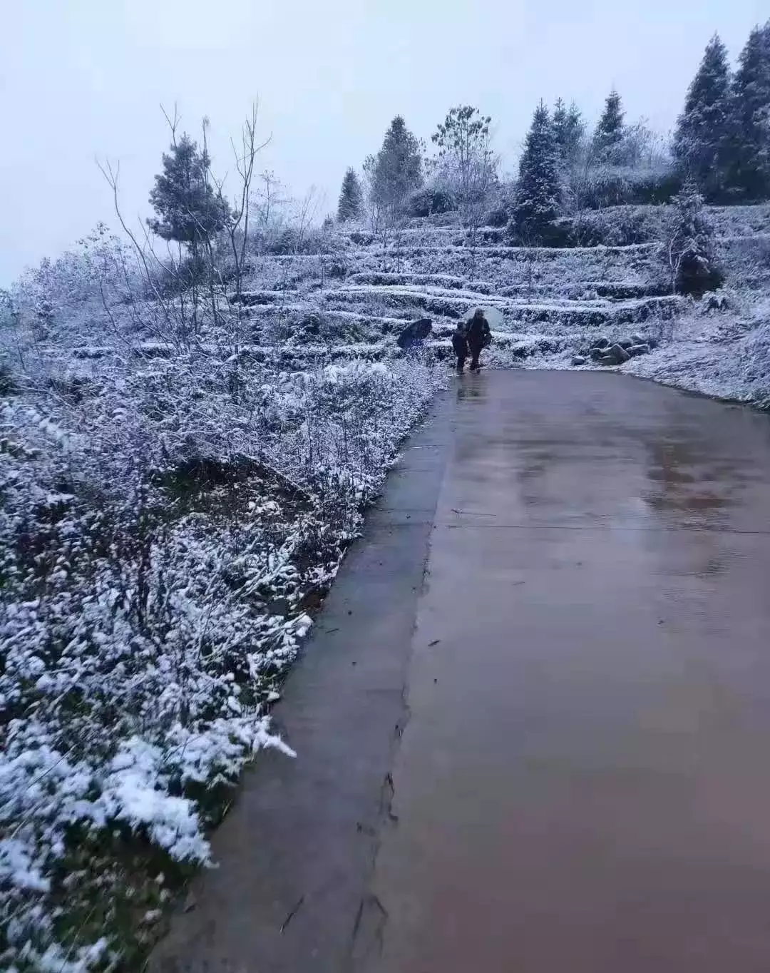 1、結婚當天下雨好還是下雪好:結婚時,天氣下雨下雪是新娘不好嗎?