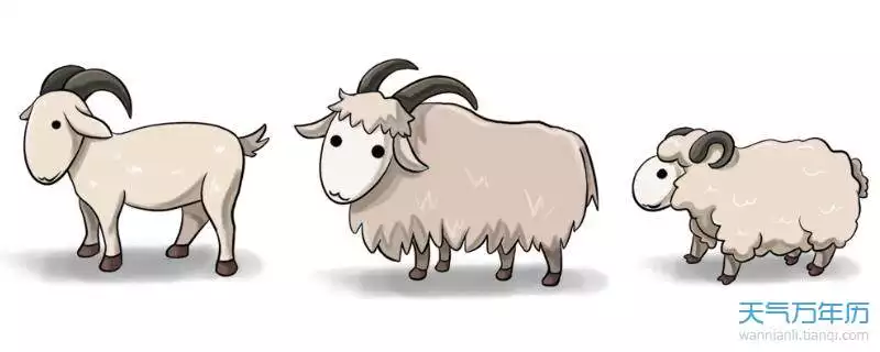 羊和羊的屬相合不合在一起好嗎：屬羊的跟屬羊的婚姻合不合的來