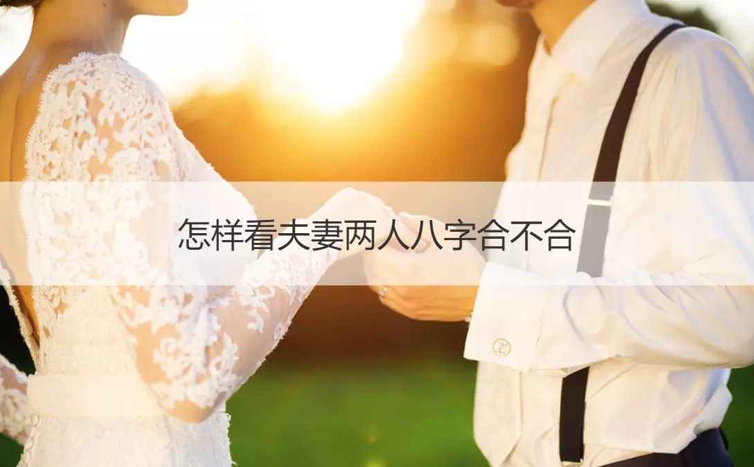 5、怎麼看倆人八字合不合:看兩個人生辰八字合不合有什麼講究
