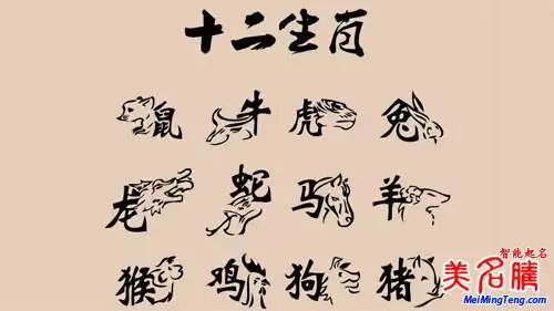 9、屬馬開店取名:我屬馬開早點取名寶典