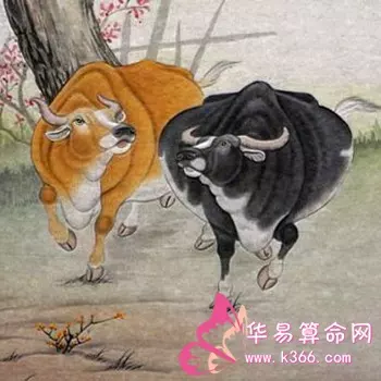 3、屬女馬與屬男雞婚配嗎:屬雞的和屬鼠的相剋嗎？