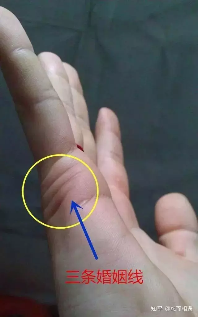 3、.姻緣線是手上的哪一根線:手中的愛情線是哪一條？