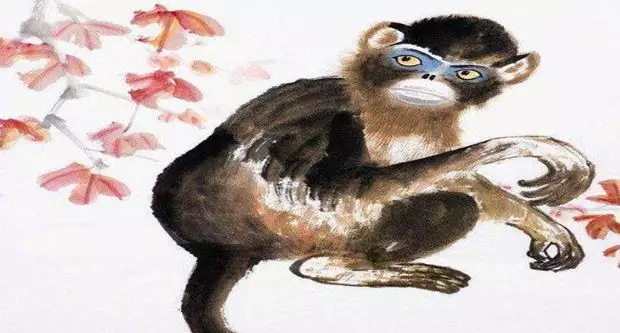 3、屬牛跟屬猴的相配嗎:屬猴和屬牛的配嗎