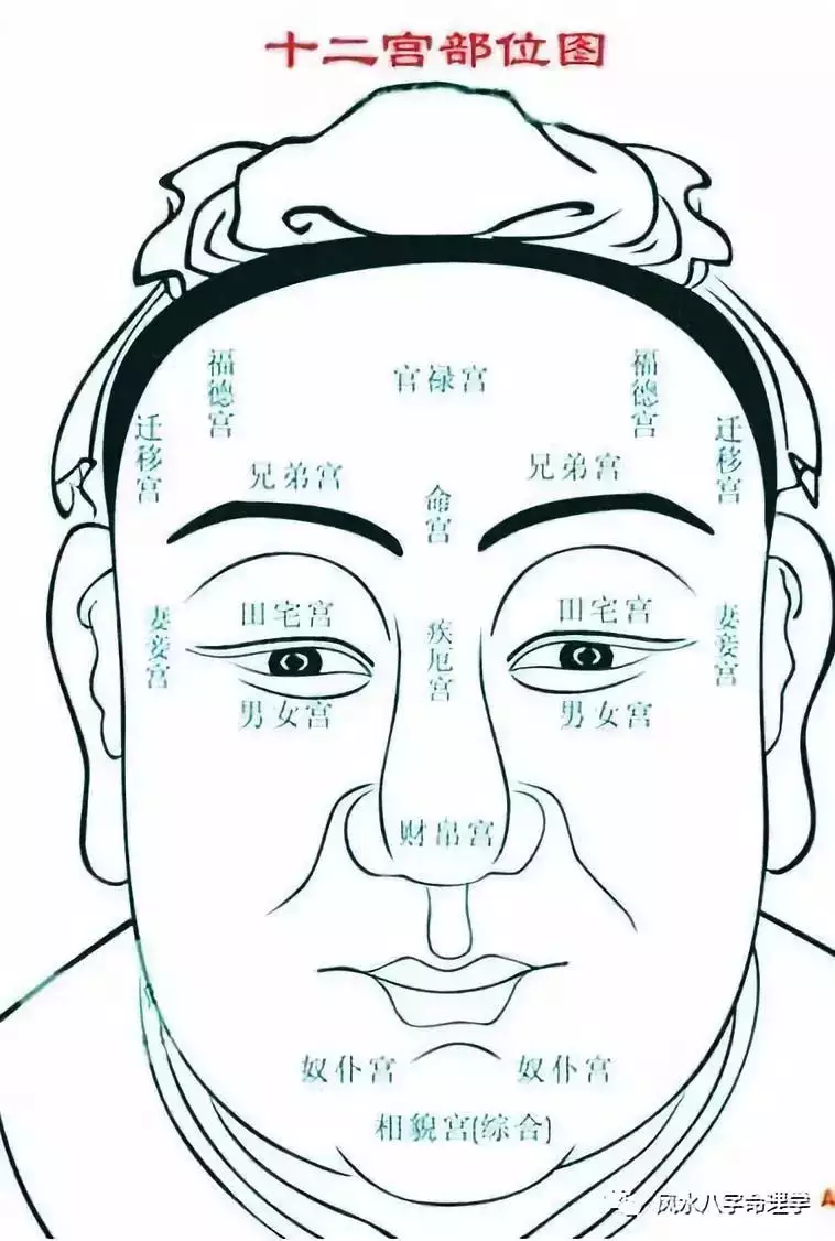 2、婚姻宮怎麼看:八字夫妻宮怎麼看