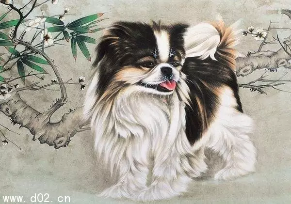屬狗的是什麼命人：年屬狗五行什麼命