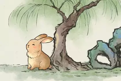 1、年兔女愛情桃花運程:年兔子的運勢如何