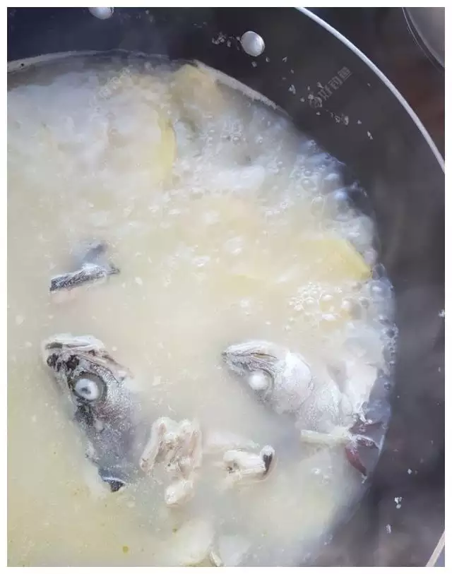 男人夢見抓魚大難臨頭是真是假：男人夢見抓魚真的會大難臨頭嗎？