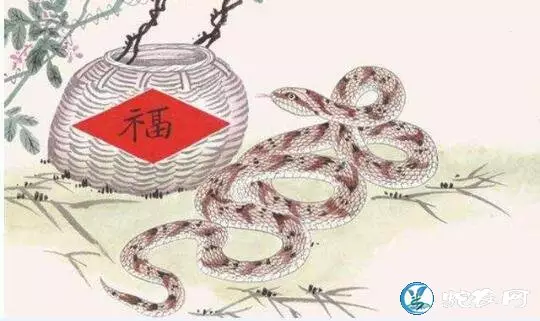 2、年屬蛇的配偶:屬蛇的配偶是什麼？