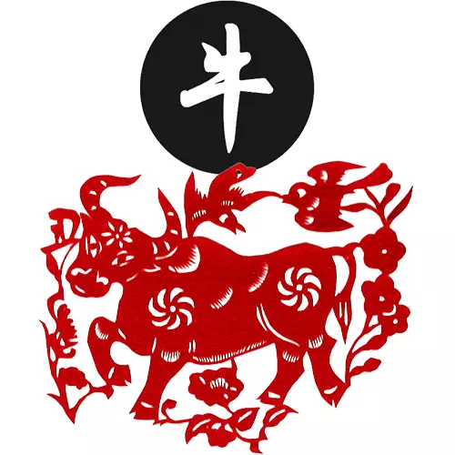3、屬狗牛年生寶寶好嗎:我和老公屬狗，生個牛寶寶相剋嗎？
