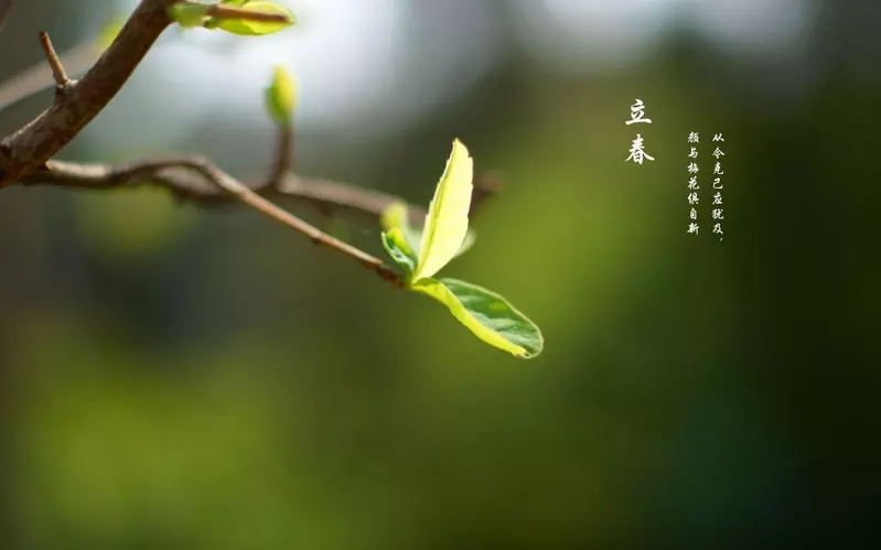 今年打春需要躲春的屬相：2021年立春躲春的生肖