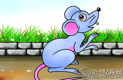 84年屬鼠女人幸運色：屬鼠金命幸運数字和顏色什麼?