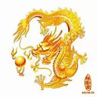 屬龍生個什麼屬相最好：男屬老鼠 女屬龍生個什麼屬相的好