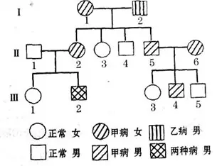 3、男女婚配地域遠後代基因:不同種族的人結婚會造成遺傳基因不穩定嗎？