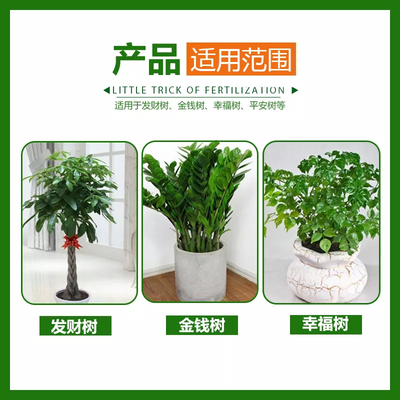 4、發財樹放什麼肥料:盆栽發財樹施什麼肥料
