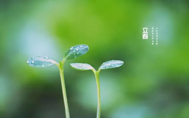 生肖屬相以立春為界的抖音：判斷：屬相以每年的“立春交節時刻”為界。（ ）？
