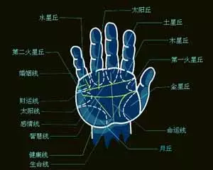 6、免費拍照看手相算命:拍照看手相
