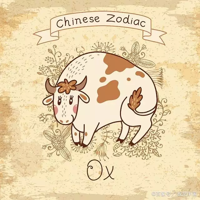 屬狗和屬龍的婚姻狀況如何：屬龍和屬狗婚姻怎麼樣