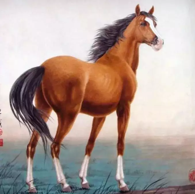 2、屬馬都有哪些馬:屬馬的名人有哪些？
