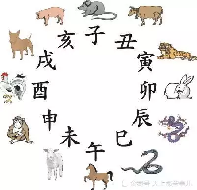 屬相是按年份照樣出生時刻：生肖屬相是根據出生年份，照樣根據出生時刻確定的？