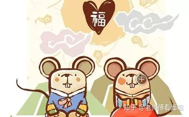 頭胎屬鼠二胎屬相禁忌：屬鼠的女人生個什麼屬相的孩子好