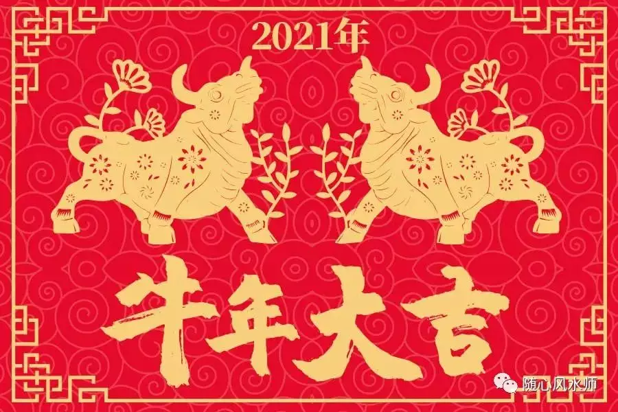 1、屬兔的超級貴人年:87年的兔在年的運勢怎麼樣