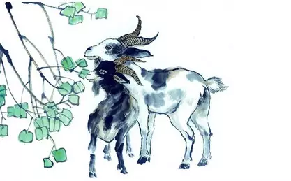 屬什麼生肖屬相屬什麼：年屬雞人的整年運勢怎麼樣？