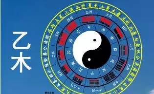1、乙木婚配:乙木男和丁火女的搭配怎麼樣