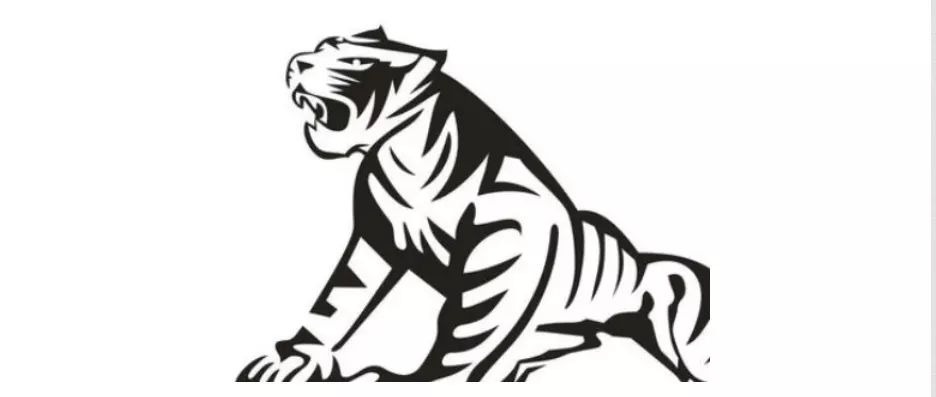 2、屬虎年運勢及運程:屬虎女年運勢及運程每月運程