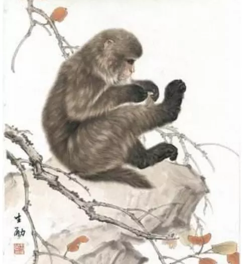 年猴是什麼命的人：屬猴的是什麼命