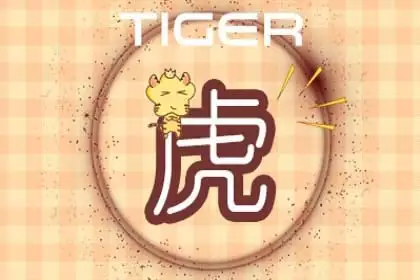 5、測運勢年運勢免費:年運勢的生肖