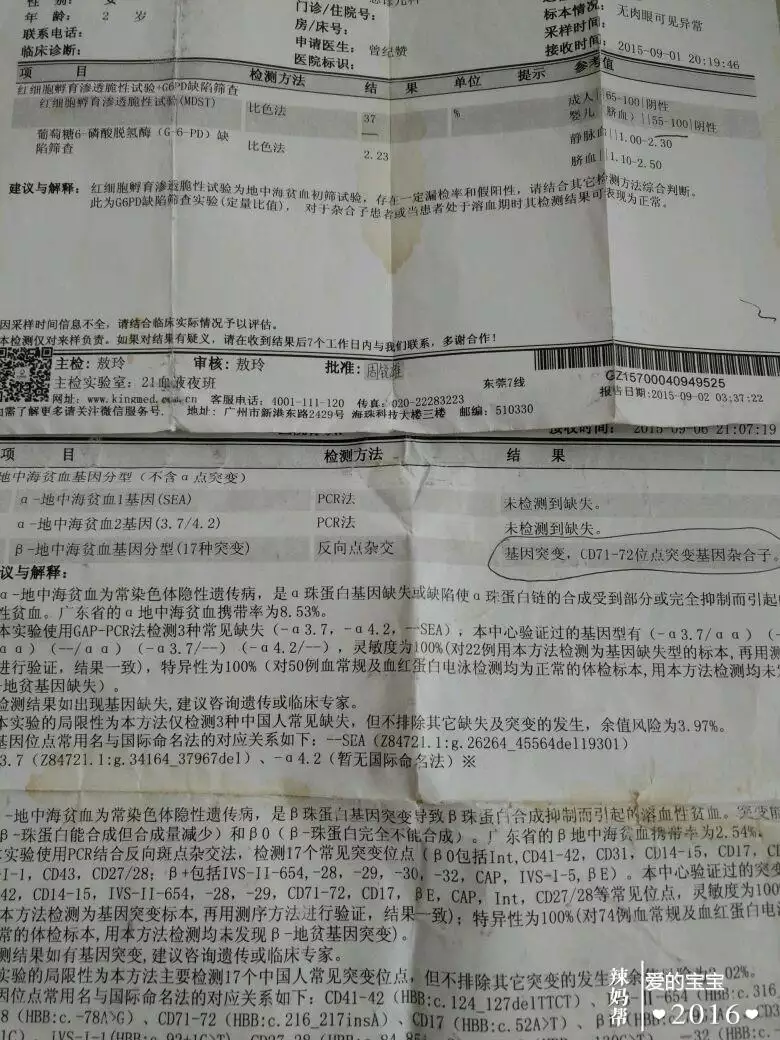 6、正凡人與重型地中海血虛婚配:地中海血虛有多大機率遺傳?