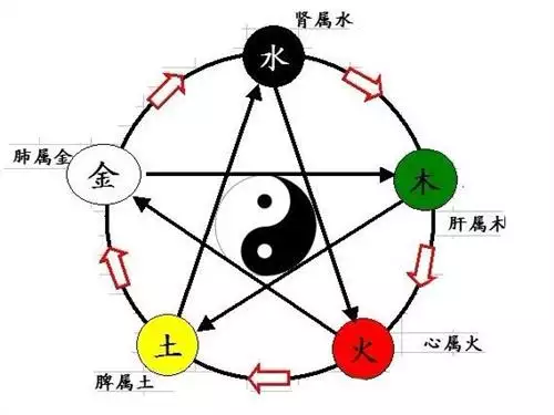 96年屬什麼的生肖多少歲了：年是屬什麼生肖的