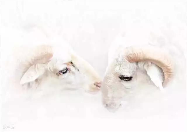 4、屬羊人今年有老人去世嗎:屬羊老人 要去世的時候屬什麼的不能在身邊？