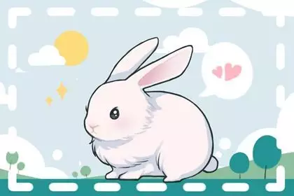 2、屬兔配屬兔的婚姻:屬兔的和屬兔的結婚好嗎