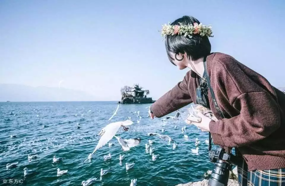 年走桃花運的生肖：年最旺最順的生肖