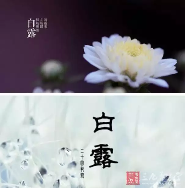十五帶三九打一個屬相：羊運將至二四節，十五帶三九有別，猜一生 肖