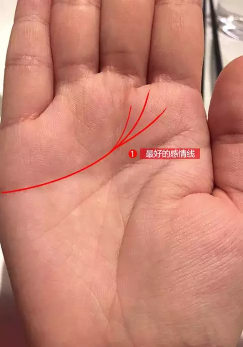 4、丈夫會有第三者的手相:什麼樣的手相會因為婚姻變得富有