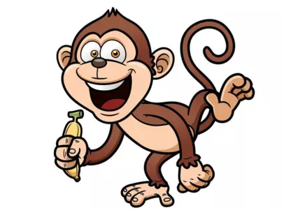 屬猴的和什麼屬相最配男孩：屬猴的和什麼屬相最配