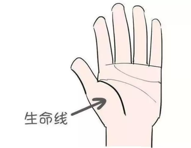 屬相馬的人婚姻是早婚照樣晚婚：無論早婚照樣晚婚，只要可以遇到對的人就行嗎？